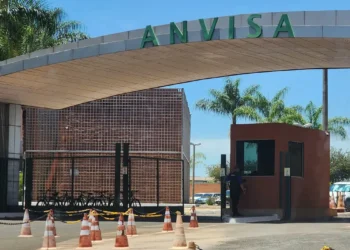 Anvisa barra azeite, sal do Himalaia e “chá do milagre”: veja marcas