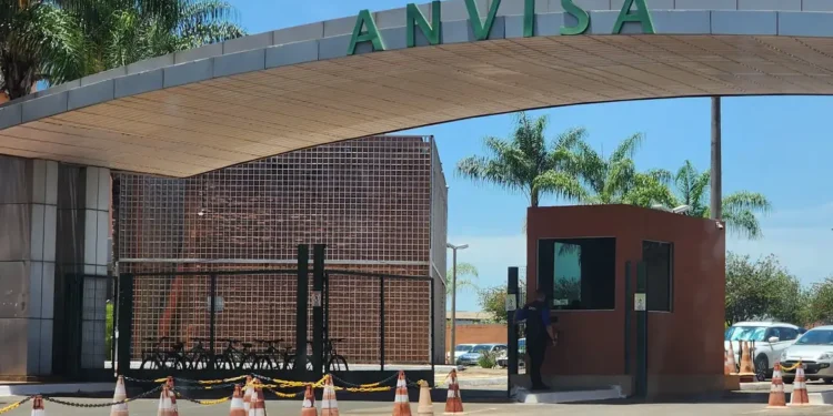 Anvisa barra azeite, sal do Himalaia e “chá do milagre”: veja marcas