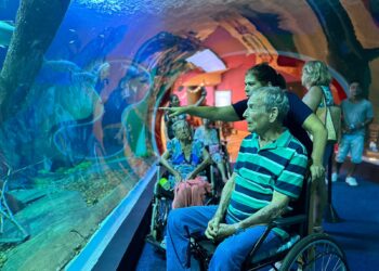 Visite o maior aquário de água doce do MUNDO - no Brasil e de GRAÇA