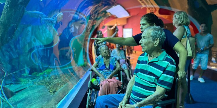 Visite o maior aquário de água doce do MUNDO - no Brasil e de GRAÇA