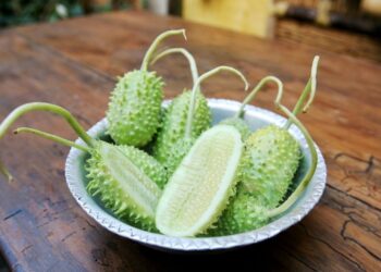 Você conhece o maxixe? Vegetal pouco falado tem vitaminas poderosas