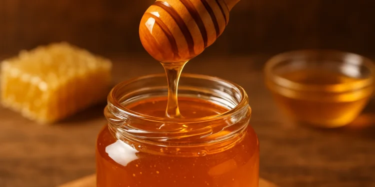 Especialista ensina como identificar se o mel de abelha é falsificado ou está bom para consumo