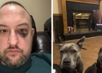 Um homem ao lado dos cachorros que adotou