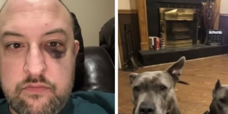 Um homem ao lado dos cachorros que adotou