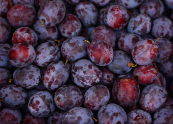 "Ouro negro": fruta que ajuda a emagrecer e ainda previne câncer