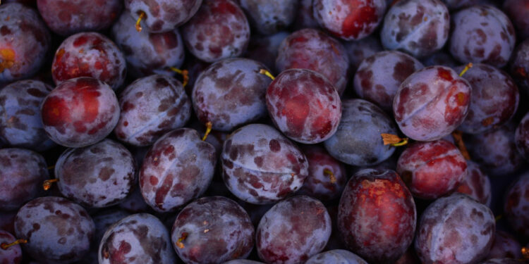 "Ouro negro": fruta que ajuda a emagrecer e ainda previne câncer