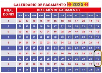 Calendário do Bolsa Família em dezembro, com destaque para o NIS 7,8 e 9