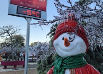 Imagem de um boneco de neve durante a Geada antes do natal