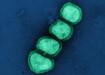 Imagem de um vírus de Nova doença