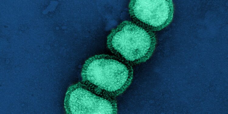 Imagem de um vírus de Nova doença
