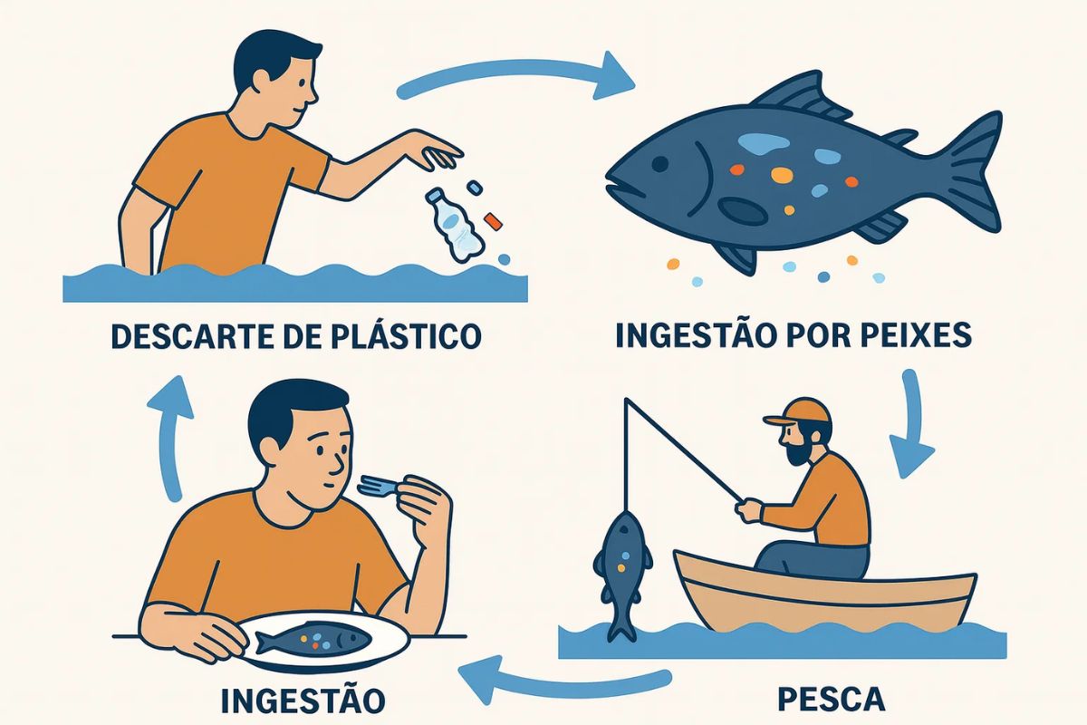 Pequeno infográfico de fluxo do microplástico