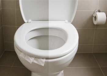 Um vaso com papel toalha