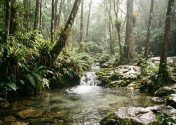 Cidade brasileira com fonte de águas que permite ter conta de água gratuita