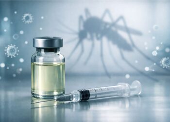 Imagem ilustrativa representa a Dengue e vacina