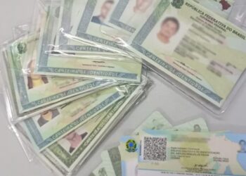 Imagem do Novo RG com alguns documentos emitidos