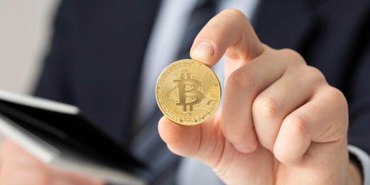 Imagem: Reprodução / freepik