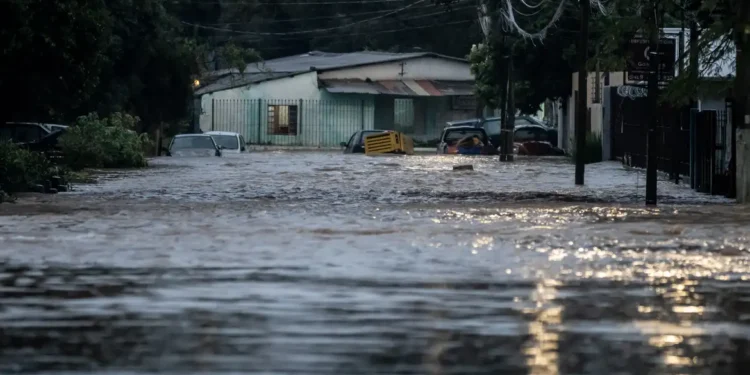 Imagem: Reprodução / Rafa Neddermeyer/Agência Brasil