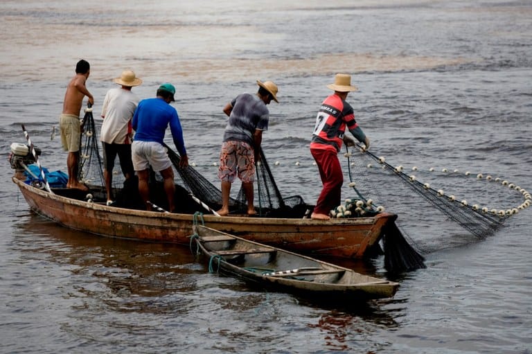 Seguro Desemprego para Pescador Artesanal