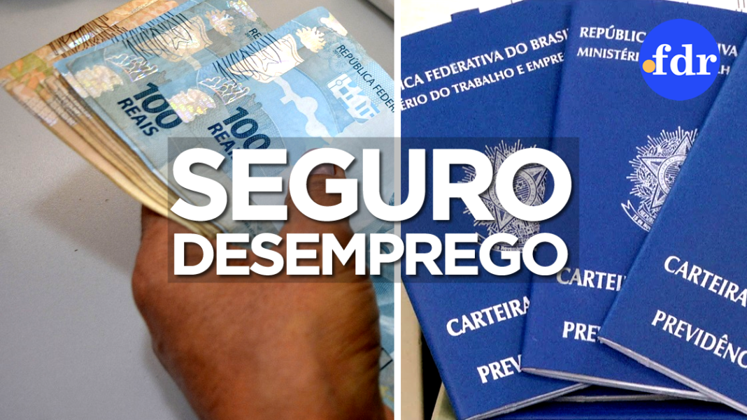 Discorra Sobre A Constituição Do Seguro Desemprego