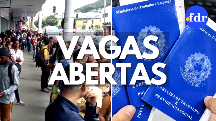 Governo do Paraná abre mais de 300 vagas para recém-formados; saiba mais