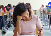 Educação: MEC oferece aos professores cursos voltados às áreas do novo ensino médio e mercado de trabalho