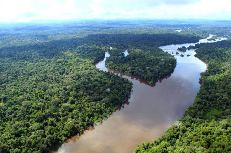 Bradesco, Santander e grandes bancos se unem para ajudar Amazônia