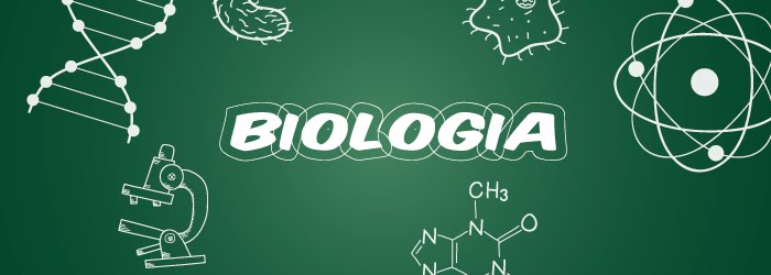 Enem 2020: 5 conteúdos que você deve estudar sobre ciências biológicas
