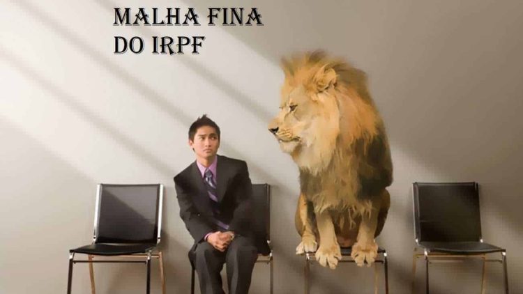 Imposto de Renda 2023: Como descobrir se caí na MALHA FINA?