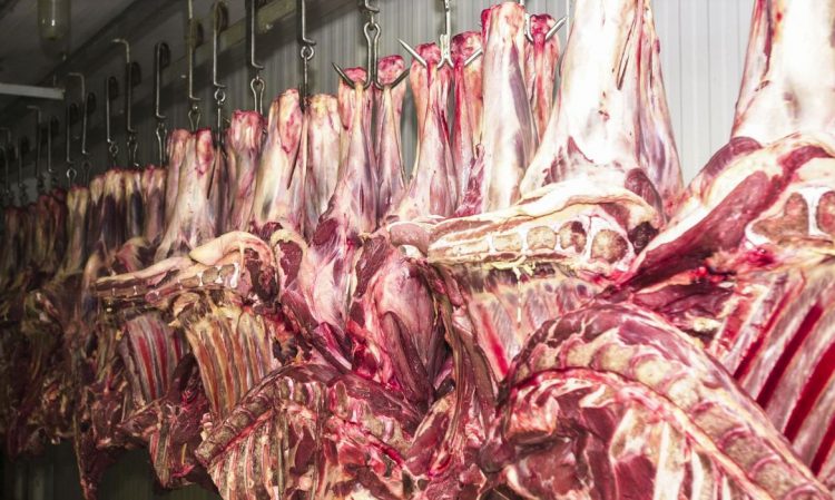 Preço da carne bovina deve sofrer variações após paralisação dos frigoríficos