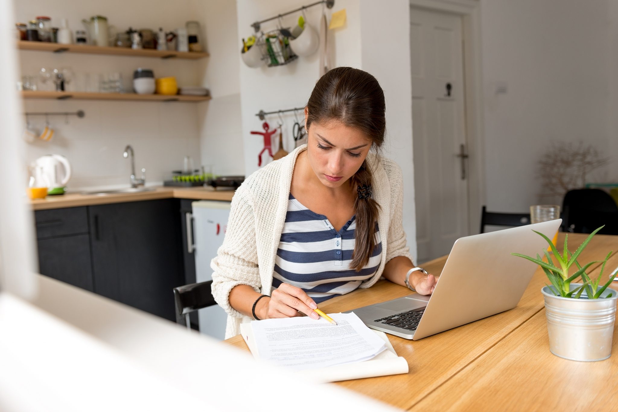 desenvolvedor home office