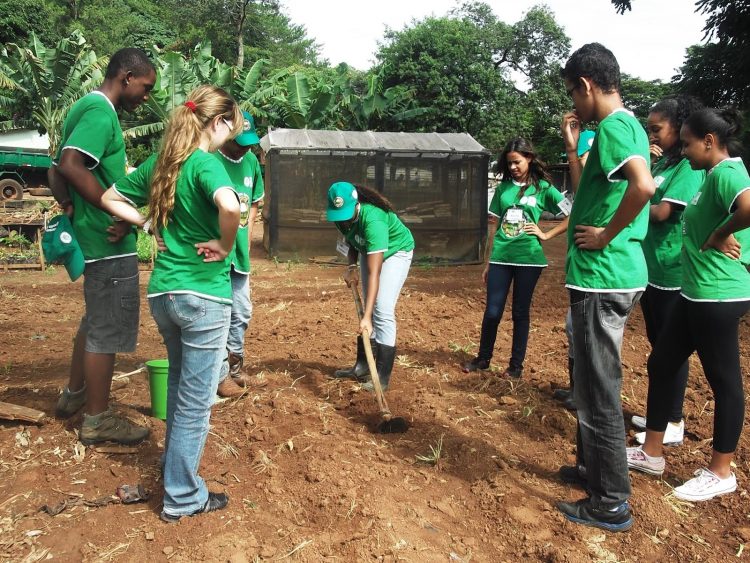 Jovem Aprendiz Rural: Município da Bahia cria seleção em parceria com SENAR