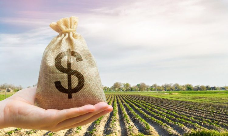 Crédito rural: Bancos que oferecem empréstimo para área agrícola 