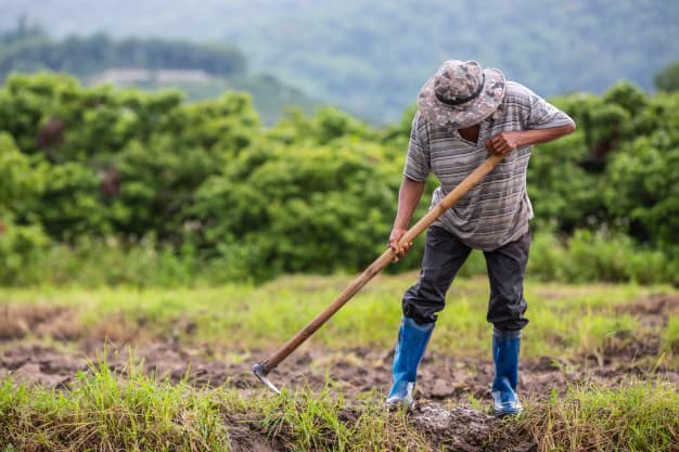 Auxílio agricultor: como funciona benefício para grupo mais vulnerável?