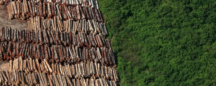 Licenciamento ambiental: Leia TUDO sobre proposta em pauta na Câmara