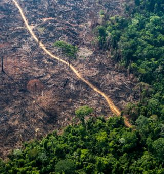 Licenciamento ambiental: Leia TUDO sobre proposta em pauta na Câmara