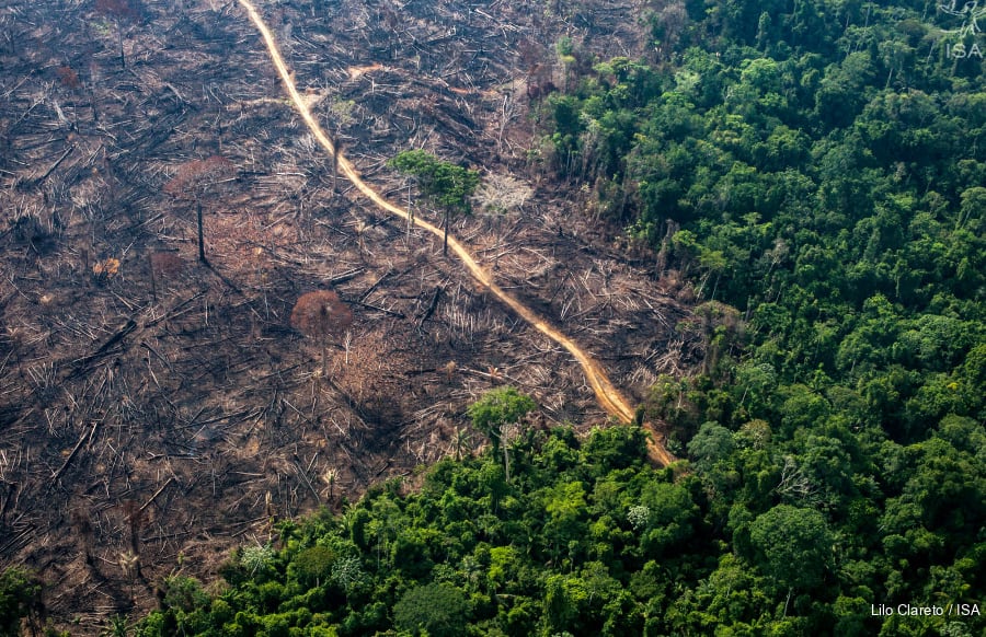 Licenciamento ambiental: Leia TUDO sobre proposta em pauta na Câmara