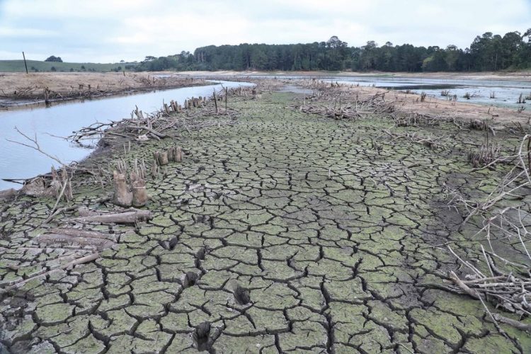 Crise hídrica ameaça 5 estados brasileiros e governo emite alerta preocupante