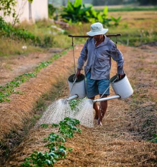 Aprovada na CAS suspensão de multas trabalhistas para pequenos agricultores