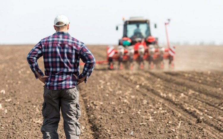 Programa Jovens Agrônomos 2021 da Yara abre prazo de inscrições