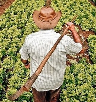 Bolsonaro veta projeto que ajudava pequeno produtor durante a pandemia