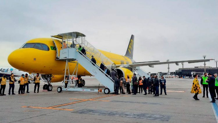 Governo libera transporte de pets em aviões; veja as novas regras