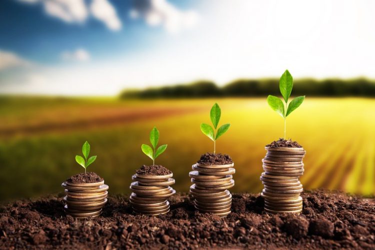 Agronegócio cobra mais de R$ 3 bilhões do Governo para crédito rural