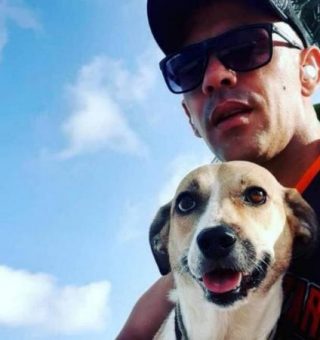 Cachorra perdida em voo é encontrada após ficar 45 dias desaparecida; dono pode cobrar indenização?