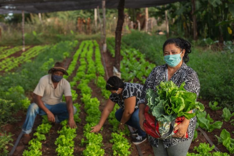 Desenrola Rural vai garantir até 85% de desconto para produtores rurais