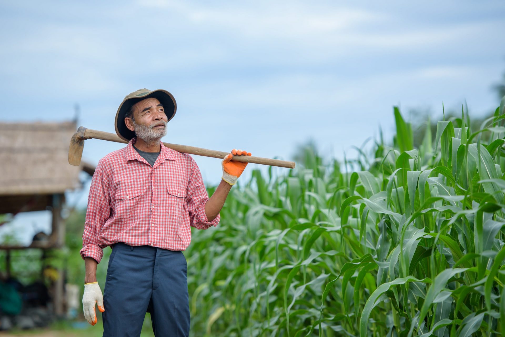 INSS: conheça os 5 benefícios destinados aos trabalhadores rurais