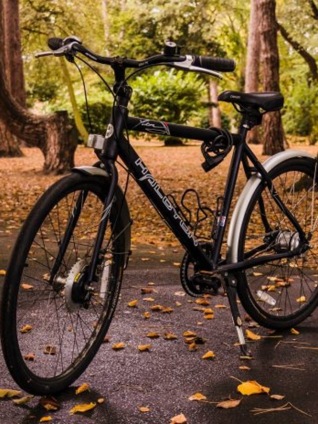 cropped-pexels-photo-11365721-696x464-1.jpeg