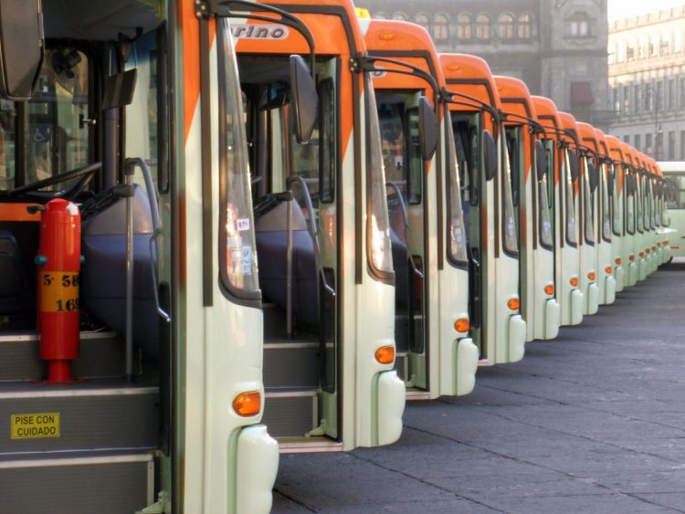 Governo lança TRANSPORTE público GRATUITO para ESSES brasileiros. Veja os critérios