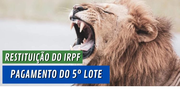 Último lote da RESTITUIÇÃO do IMPOSTO DE RENDA é pago nesta semana. Veja quem recebe