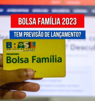 Já posso consultar se vou receber o Bolsa Família? Saiba agora como verificar seu cadastro