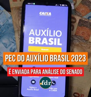 Projeto que consolida o AUXÍLIO BRASIL 2023 foi entregue ao Senado. Veja como o orçamento deve ser trabalhado